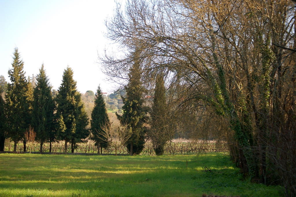 Quinta Da Anunciada Velha ξενώνας Tomar Εξωτερικό φωτογραφία