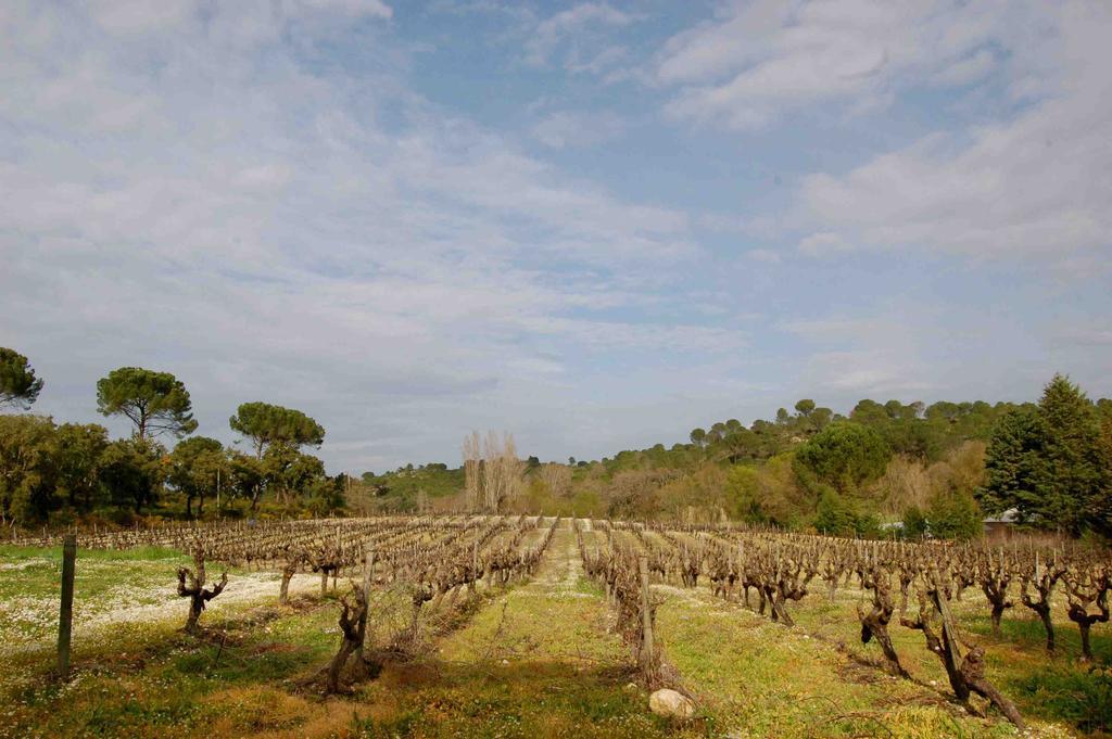 Quinta Da Anunciada Velha ξενώνας Tomar Εξωτερικό φωτογραφία