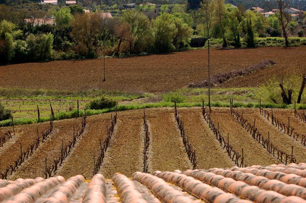 Quinta Da Anunciada Velha ξενώνας Tomar Εξωτερικό φωτογραφία